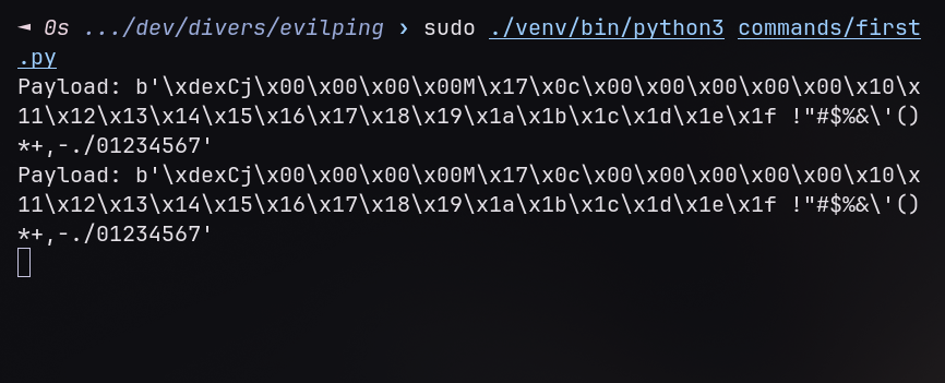 icmp payload